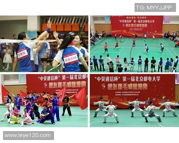 西安羽毛球队在洲际杯中的卓越表现与力量分析